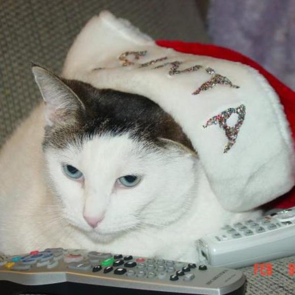 Meet your Posher, Jen - Picture 1 of 1